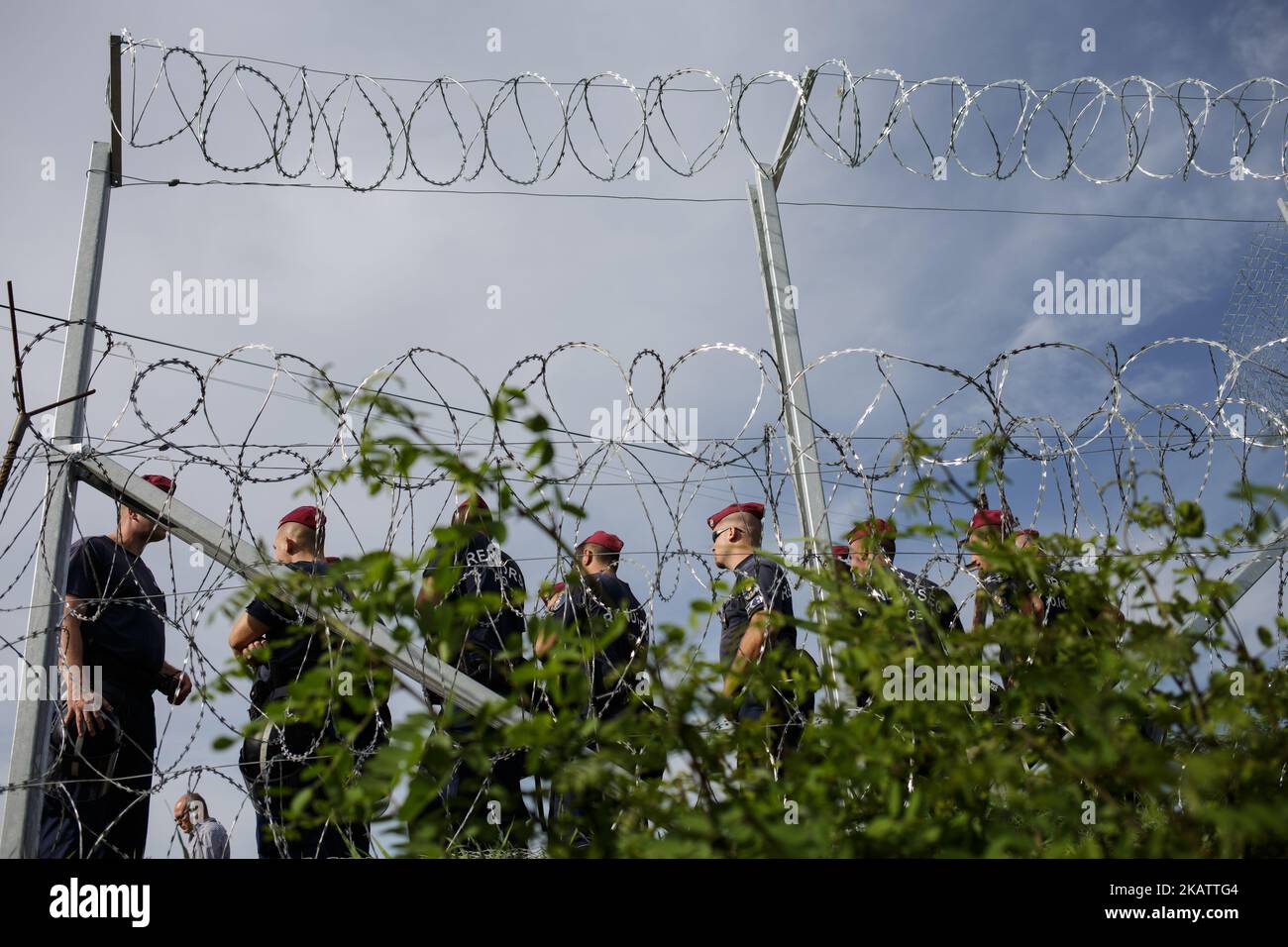 (9/14/2015) alambrada de púas húngaras. Hungría ha sido un importante país de tránsito para los migrantes, muchos de los cuales apuntan a continuar hacia Austria y Alemania. En 2015, Hungría construyó una barrera fronteriza en su frontera con Serbia y Croacia. La valla se construyó durante la crisis de los inmigrantes europeos con el objetivo de garantizar la seguridad fronteriza evitando que los refugiados y los inmigrantes entren ilegalmente, y permitiendo la opción de entrar a través de los puestos de control oficiales y solicitar asilo en Hungría, de conformidad con la legislación internacional y europea. El número de entradas ilegales en Hungría disminuyó considerablemente después de Th Foto de stock