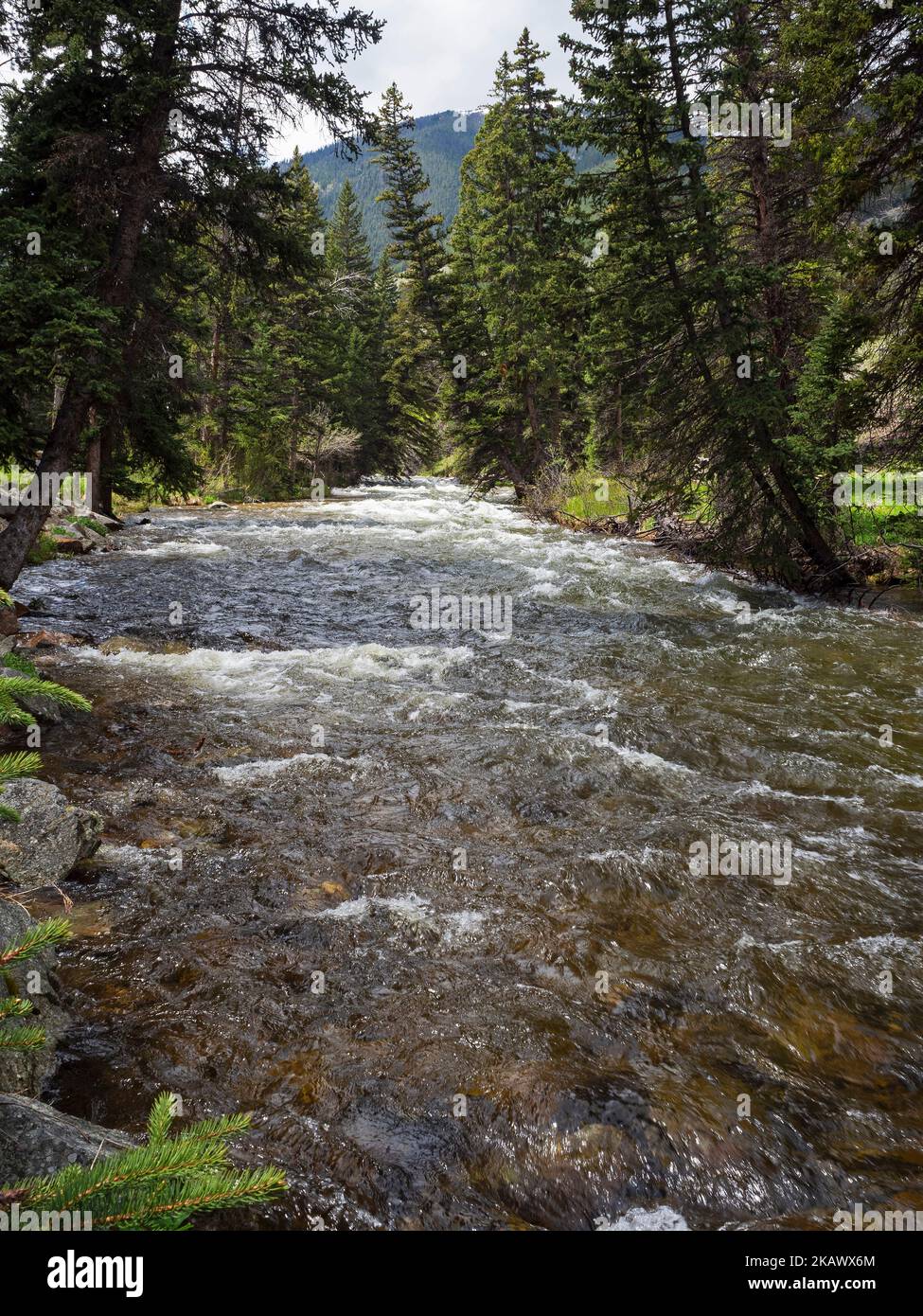 Rock Creek, Custers Campground, Montana, EE.UU., 2019 de junio Foto de stock