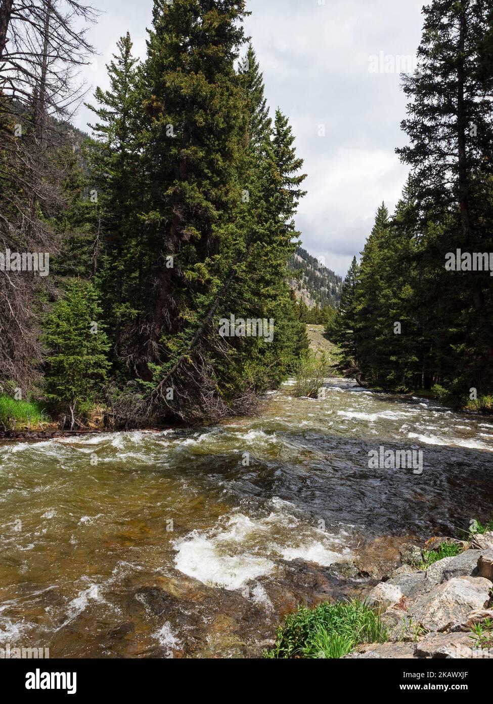 Rock Creek, Custers Campground, Montana, EE.UU., 2019 de junio Foto de stock