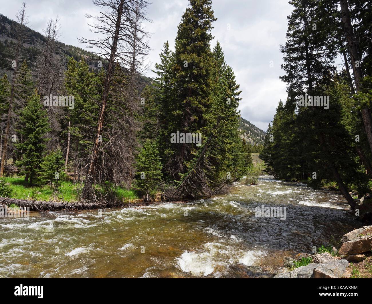 Rock Creek, Custers Campground, Montana, EE.UU., 2019 de junio Foto de stock