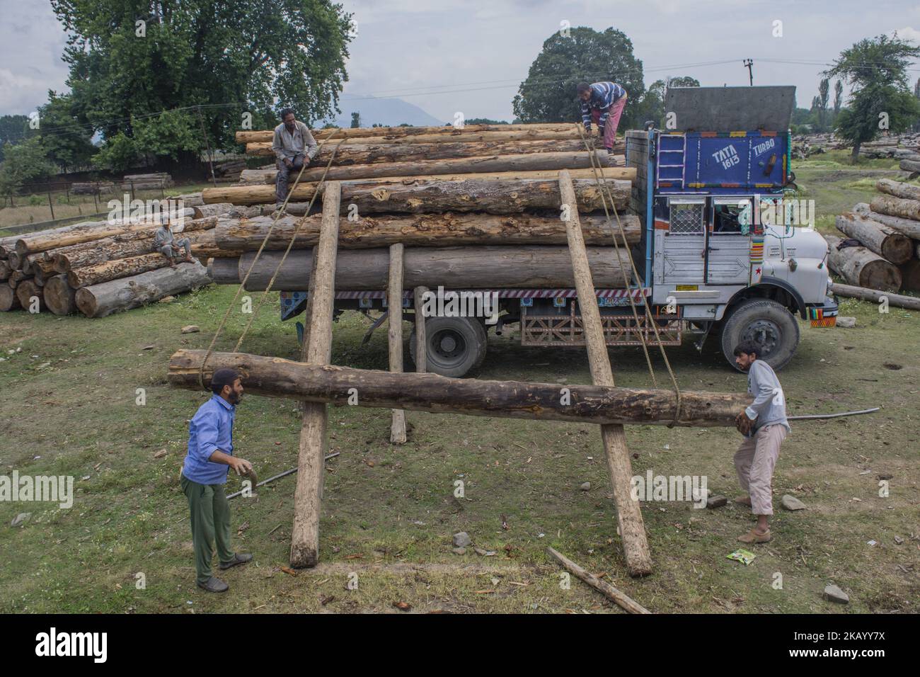 Los leñadores de Cachemira cargan troncos de árboles en un camión maderero en Timber Transport Range el 5 de julio de 2018 en Srinagar, la capital de verano de la Cachemira administrada por la India. El trabajo de leñadores en Cachemira sigue siendo en su mayor parte insuficiente y no está asegurado contra accidentes. La mayoría son empleados como trabajadores ocasionales en el área de transporte de madera en Srinagar. Debido a la naturaleza de su trabajo, los leñadores tienen una marcha inusual ya que sufren de trastornos ortopédicos, especialmente dolor de espalda crónico. (Foto de Kabli Yawar/NurPhoto) (Foto de Kabli Yawar/NurPhoto) Foto de stock
