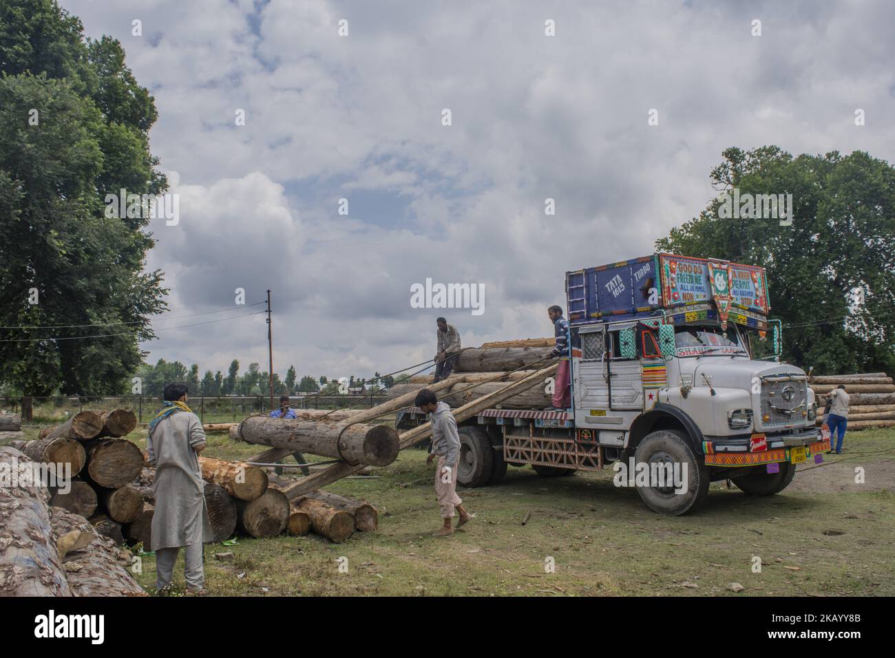 Los leñadores de Cachemira cargan troncos de árboles en un camión maderero en Timber Transport Range el 5 de julio de 2018 en Srinagar, la capital de verano de la Cachemira administrada por la India. El trabajo de leñadores en Cachemira sigue siendo en su mayor parte insuficiente y no está asegurado contra accidentes. La mayoría son empleados como trabajadores ocasionales en el área de transporte de madera en Srinagar. Debido a la naturaleza de su trabajo, los leñadores tienen una marcha inusual ya que sufren de trastornos ortopédicos, especialmente dolor de espalda crónico. (Foto de Kabli Yawar/NurPhoto) (Foto de Kabli Yawar/NurPhoto) Foto de stock