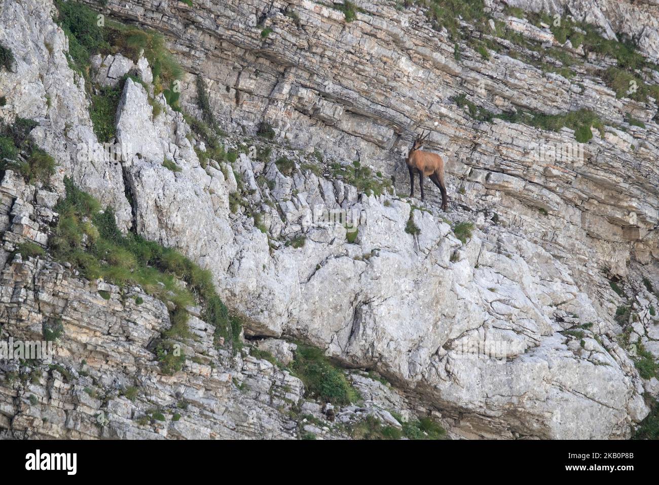 Parque nacional de los apeninos fotografías e imágenes de alta