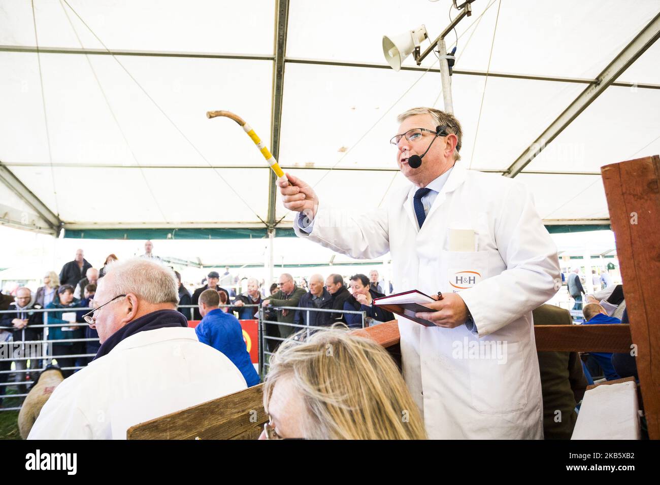 Un subastador reacciona ante las ofertas en la venta de Kelso Ram el 13 de septiembre de 2019 en Springwood Park, Kelso, Escocia. La venta de Kelso Ram es la venta de carneros más grande de un día en Europa, entre cinco y seiscientos consignadores que se espera asistan al evento. 5.174 Rams serán vendidos hoy y el total de ventas del año pasado alcanzó más de dos millones novecientos mil libras, con una venta promedio de 681 por carnero. Las ventas se establecieron en 1838 y sólo han sido canceladas en dos ocasiones, en 2001 y 2007 en ambas ocasiones como consecuencia de un brote de fiebre aftosa. (Foto de Ewan Bootman/NurPhoto) Foto de stock