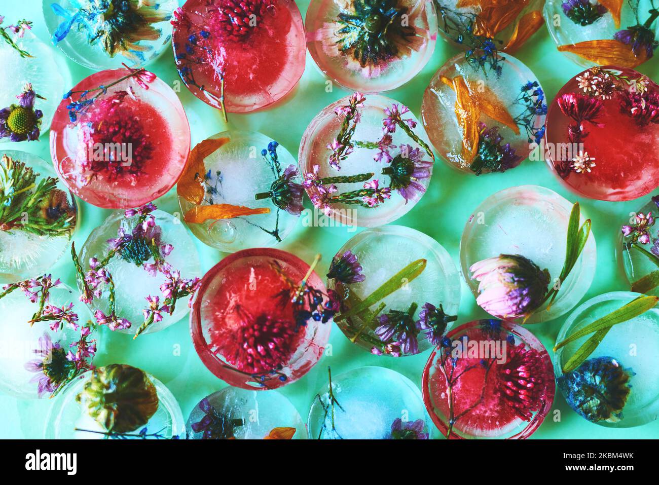 Primavera helada. Foto de estudio de flores congeladas en bloques de hielo. Foto de stock