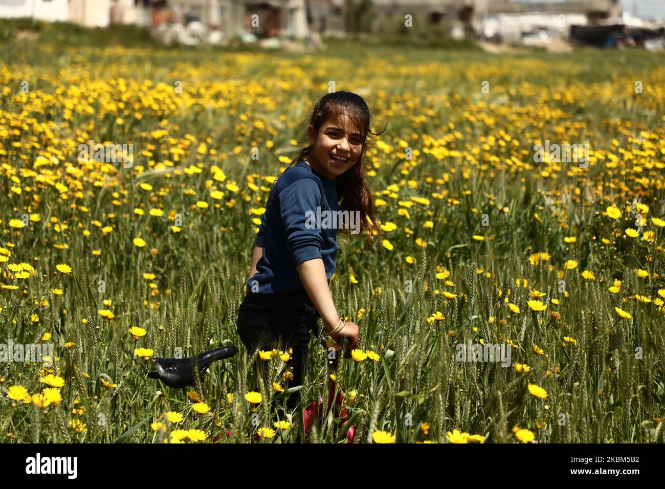 Los niños palestinos juegan en un campo de flores silvestres de amapola que crecen en campos a lo largo de la Faja de Gaza, en Jan Yunis, en el estriado meridional de Gaza, el 08 de abril de 2020, ya que el comienzo oficial de la primavera está marcado por el Equinoccio Vernal. (Foto de Majdi Fathi/NurPhoto) Foto de stock