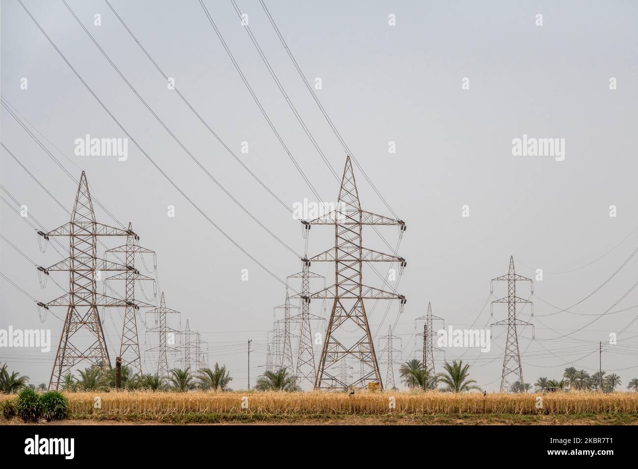 Pilones de electricidad de alto voltaje rodeados de palmeras a orillas del río Nilo, Egipto Foto de stock