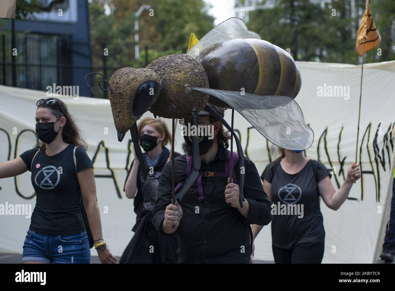 Un demostrador que lleva una máscara protectora sostiene una modelo de abeja durante la gran marcha por el clima el 5 de septiembre de 2020 en Varsovia, Polonia. Unos pocos miles de personas tomaron las calles en la gran marcha por el clima organizada por la rebelión contra la extinción como el comienzo de la temporada de protestas climáticas para exigir una acción inmediata de la política y para crear conciencia sobre el cambio climático. (Foto de Aleksander Kalka/NurPhoto) Foto de stock