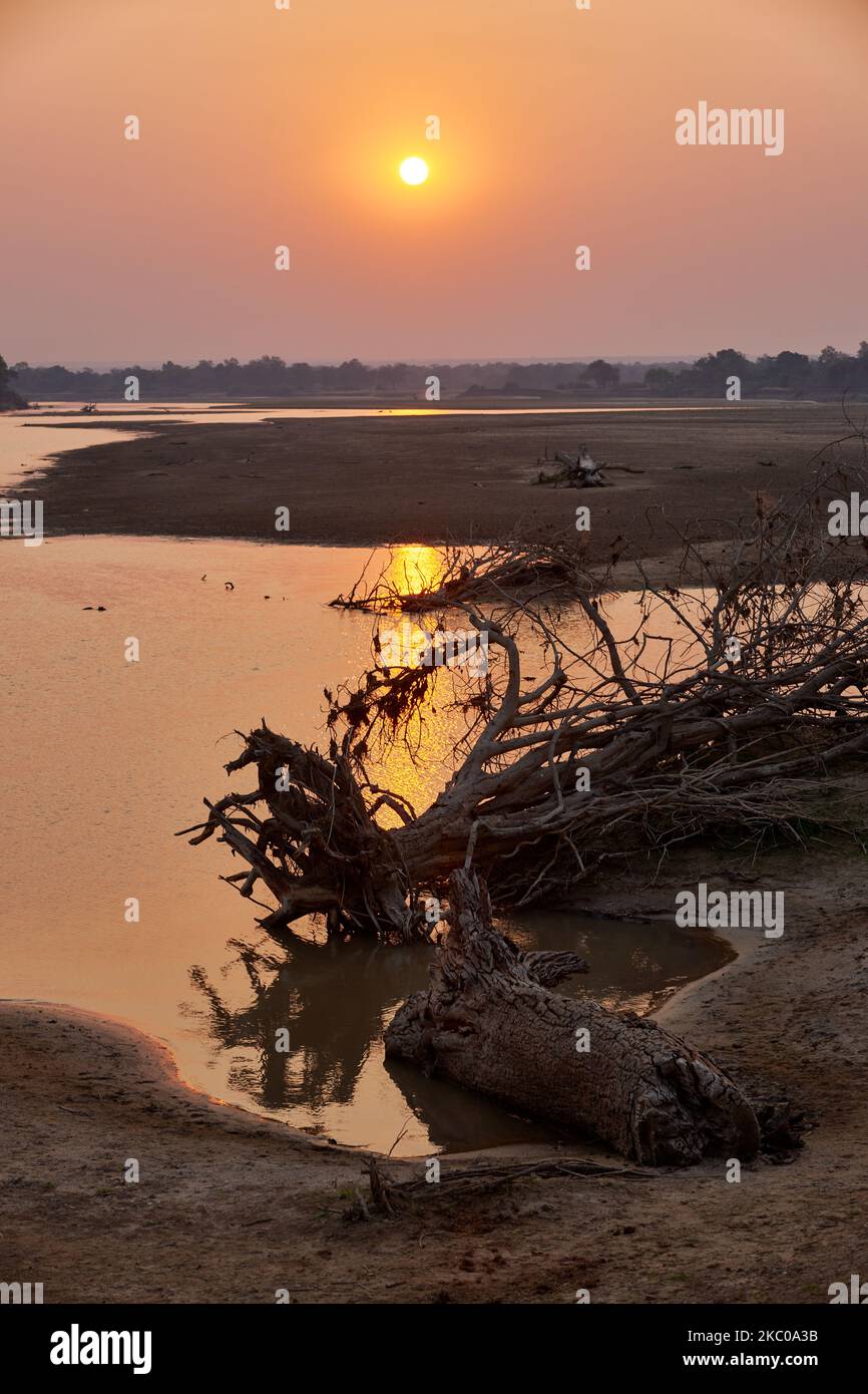 Atardecer en el río Luangwa Sur, el Parque Nacional Luangwa del Sur, Zambia, África Foto de stock