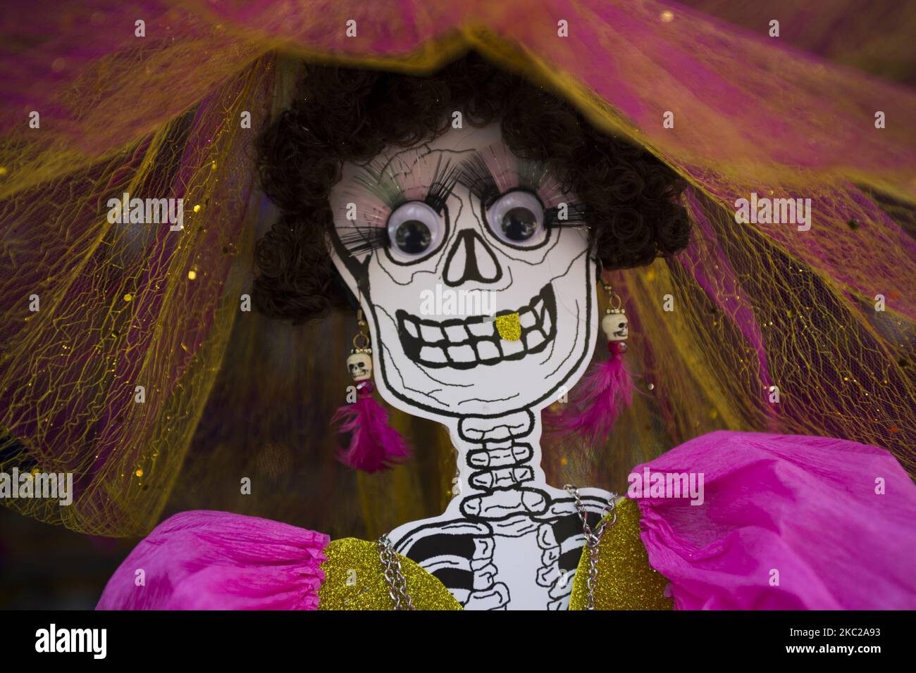 La organización de la tradición Chinampera (chinampa es una técnica