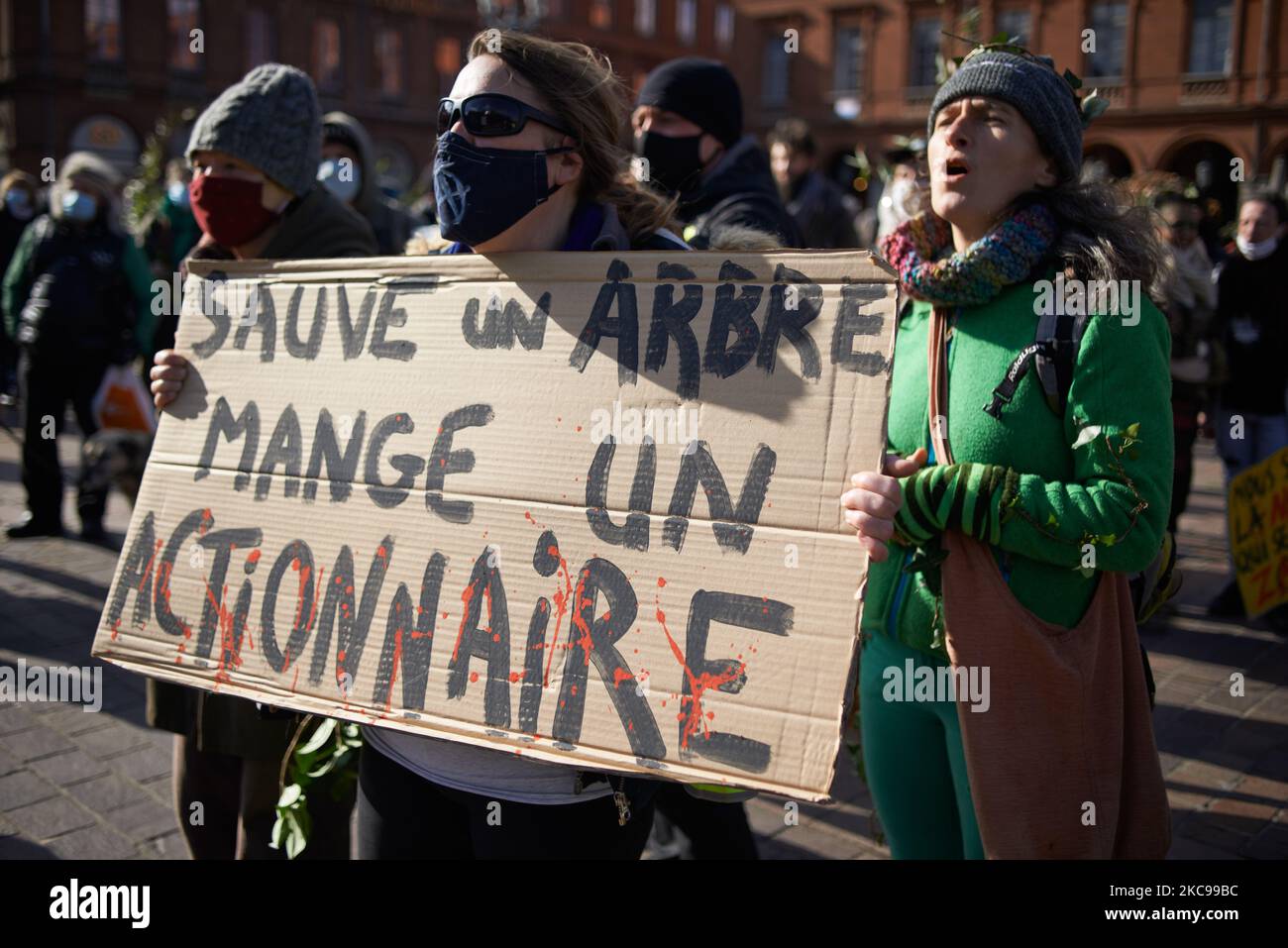 Una mujer sostiene un cartel que dice 'Salve un árbol, come un accionista'. Varias asociaciones, partidos políticos y personas unidas en un colectivo 'Touche pas a ma foret' (es decir, 'No toquen mi bosque') pidieron una muerte en Toulouse frente al ayuntamiento, el Capitolio, para simbolizar su oposición a una empresa global, Florian. La empresa de aserradero Florian quiere construir un aserradero gigante cerca de la ciudad pirenaica de Lannemezan. Se espera que el aserradero trate casi 400,000 metros cúbicos de madera de haya cada año. Para ello, la empresa Florian tendrá que cortar haya por todo el Pirineo francés. Es int Foto de stock