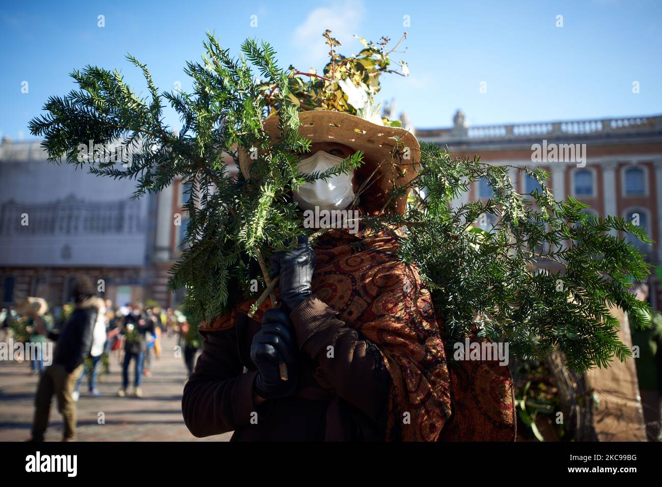 Una mujer vestida como un árbol posa para una fotografía delante del ayuntamiento de toulouse, el Capitolio. Varias asociaciones, partidos políticos y personas unidas en un colectivo 'Touche pas a ma foret' (es decir, 'No toquen mi bosque') pidieron una muerte en Toulouse frente al ayuntamiento, el Capitolio, para simbolizar su oposición a una empresa global, Florian. La empresa de aserradero Florian quiere construir un aserradero gigante cerca de la ciudad pirenaica de Lannemezan. Se espera que el aserradero trate casi 400,000 metros cúbicos de madera de haya cada año. Para ello, la empresa Florian tendrá que cortar árboles de haya a. Foto de stock