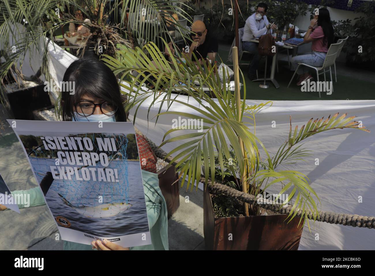 Activistas de la organización Animal Save Mexico, se manifiestan frente a un restaurante de pescadores en la Ciudad de México contra el maltrato y la explotación de especies marinas para el consumo humano, mientras que los camareros bloquean la vista de los comensales con una manta afuera. (Foto de Gerardo Vieyra/NurPhoto) Foto de stock