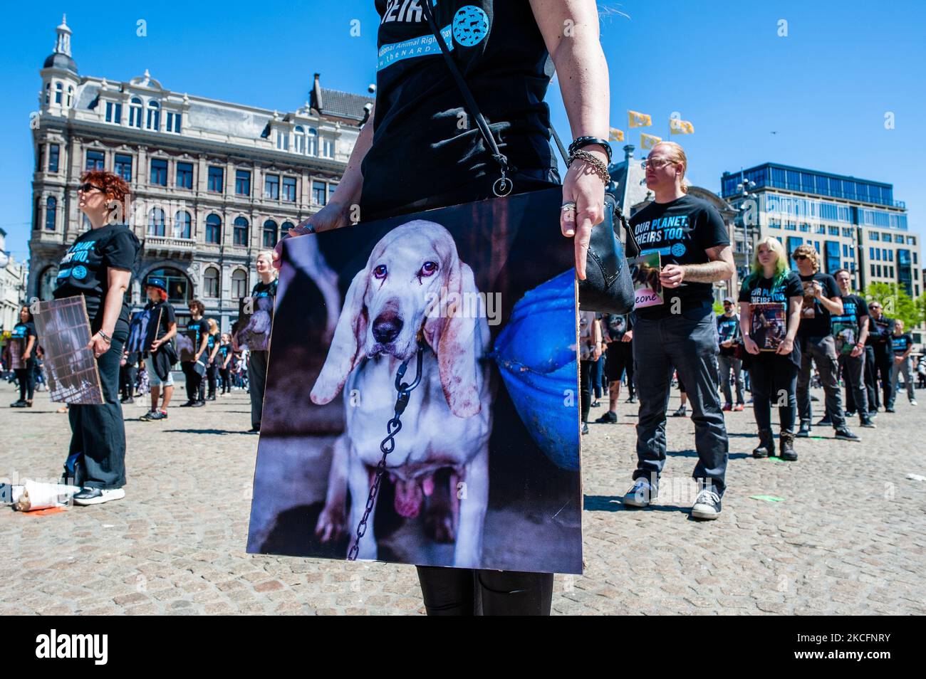 Derechos de los animales nl fotografías e imágenes de alta resolución