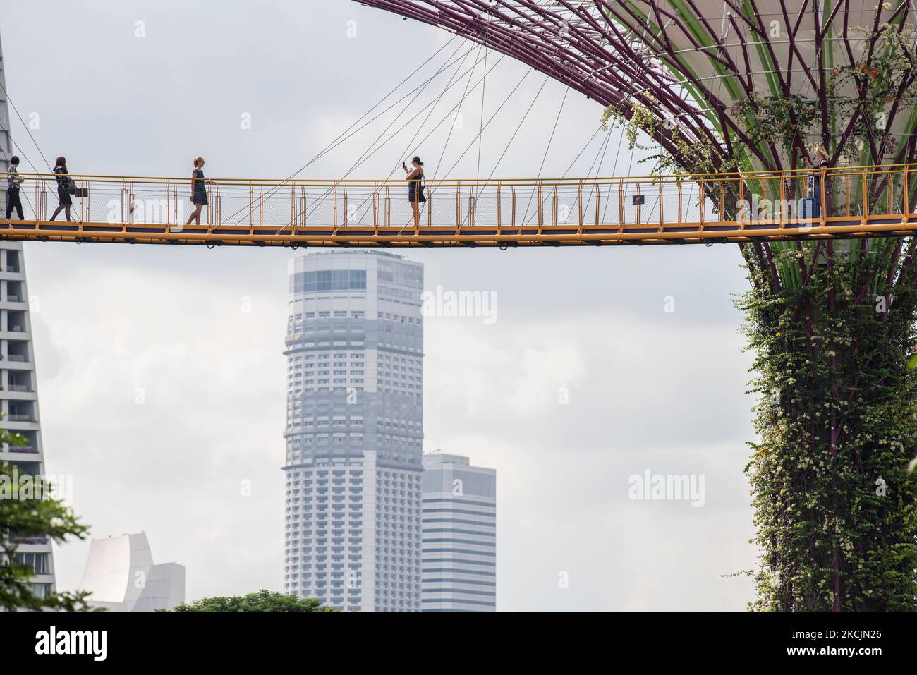 Ciudad de Singapur, Singapur-Septiembre 08,2019: Los turistas recorren los Jardines junto a la Bahía, un parque natural en la ciudad de Singapur. Foto de stock