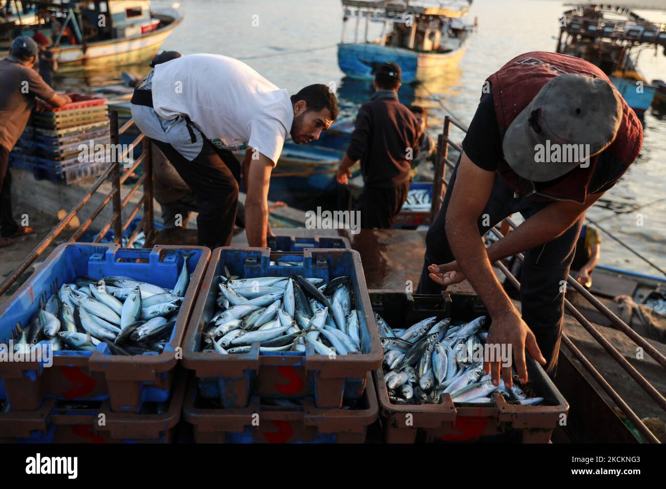 Los pescadores palestinos descargan sus capturas después de un viaje nocturno de pesca, en el Puerto de Gaza, jueves, 2 de septiembre de 2021. Israel reabrió una zona de pesca de 25 kilómetros (15 millas) frente a la costa de Gaza. (Foto de Majdi Fathi/NurPhoto) Foto de stock