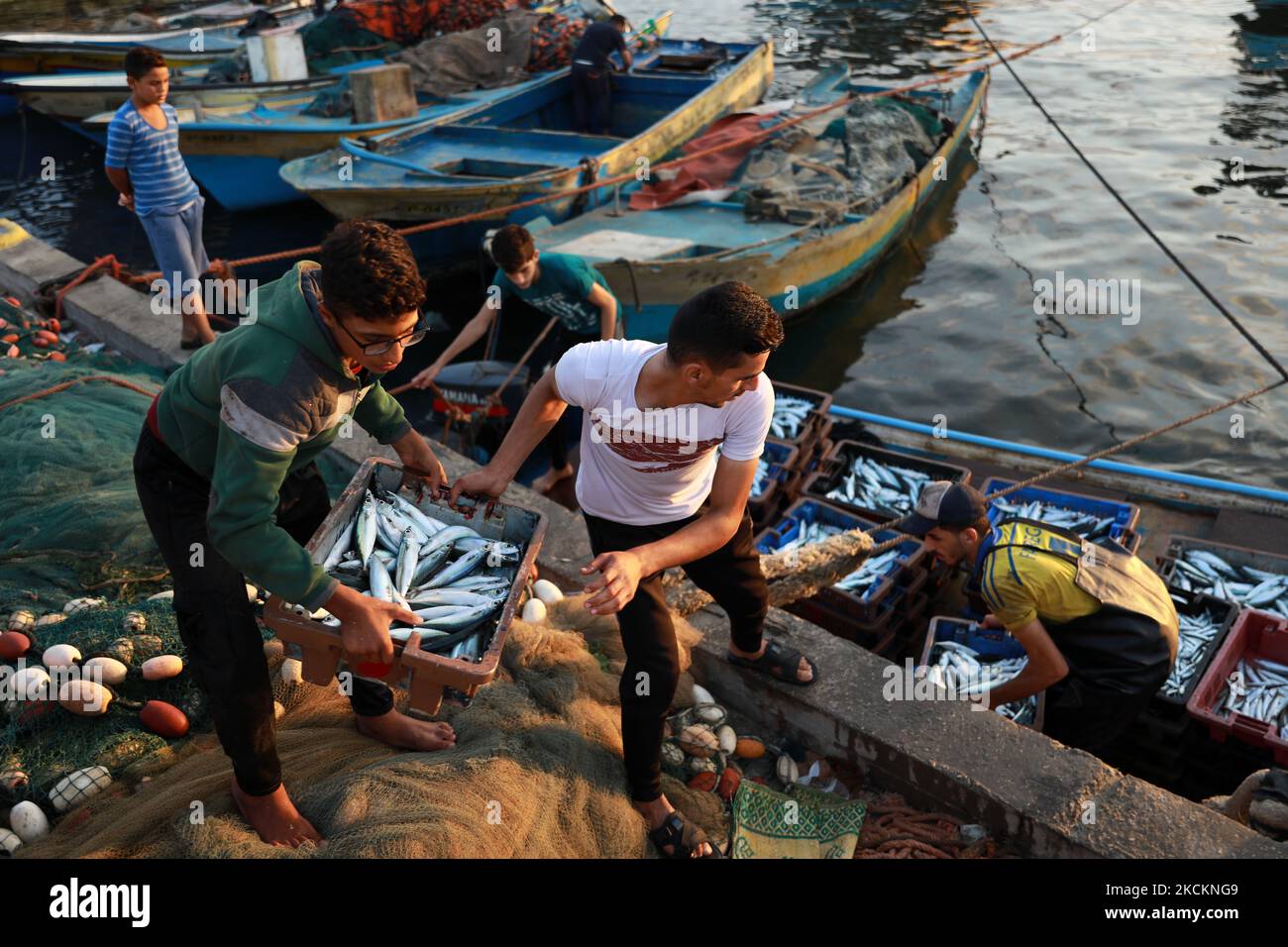 Los pescadores palestinos descargan sus capturas después de un viaje nocturno de pesca, en el Puerto de Gaza, jueves, 2 de septiembre de 2021. Israel reabrió una zona de pesca de 25 kilómetros (15 millas) frente a la costa de Gaza. (Foto de Majdi Fathi/NurPhoto) Foto de stock