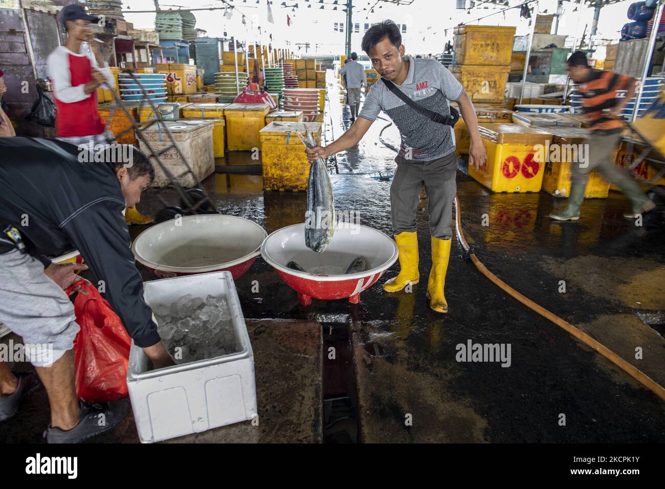 Mercado de pescado en el mercado de Muara Angke, en Yakarta, Indonesia, el 14 de octubre de 2021. Desde la pandemia de Covid-19, las ventas de pescado en Muara Angke han disminuido drásticamente. (Foto de Donal Husni/NurPhoto) Foto de stock