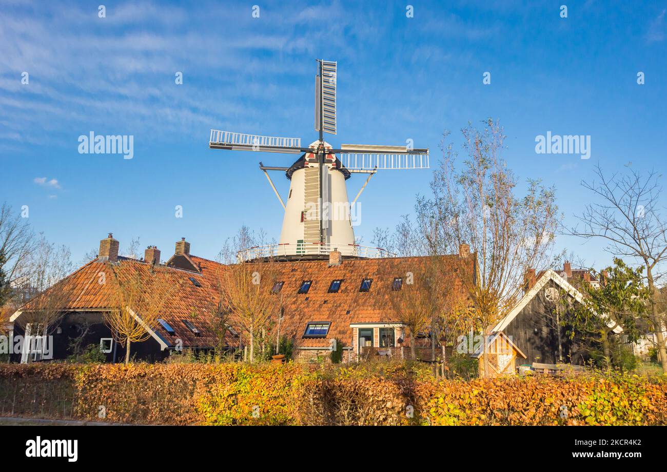 Histórico molino en colores otoñales en Haren, Groningen, Holanda Foto de stock