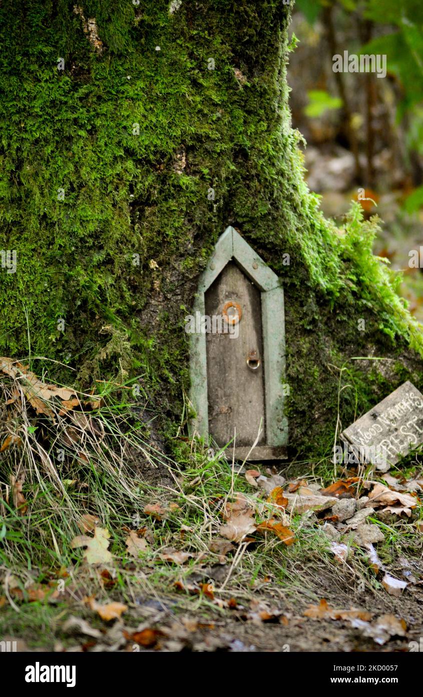 Enfoque Selectivo. Figura De Hadas En Un Bosque Real. Bureta