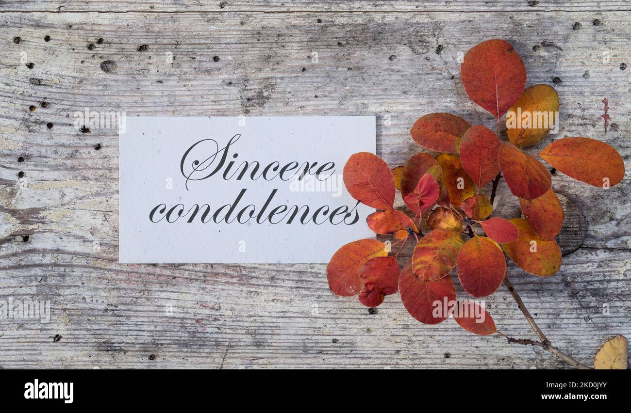 Tarjeta de pésame con hojas de otoño coloreadas y texto en inglés: Sinceras condolencias Foto de stock