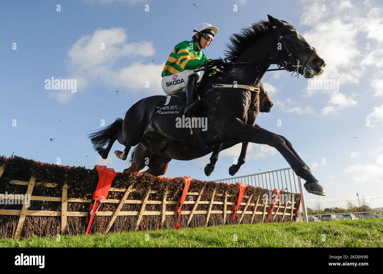 Belfast, Reino Unido. 05th de Nov de 2022. Cougar y el jinete Mark Walsh ganan la valla 3-Y-O Cabs para el entrenador Padraig Roche y el propietario Sr. J.P.McManus en el hipódromo Down Royal. Crédito: JTW Equine Images/Alamy Live News Foto de stock