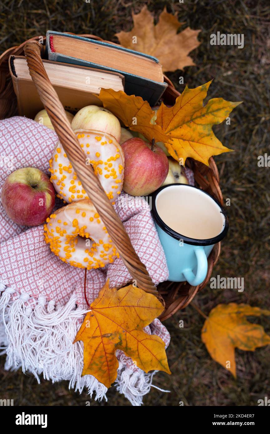 cesta de picnic. cesta a cuadros, manzana, donuts, libro. estética otoñal urbana Foto de stock