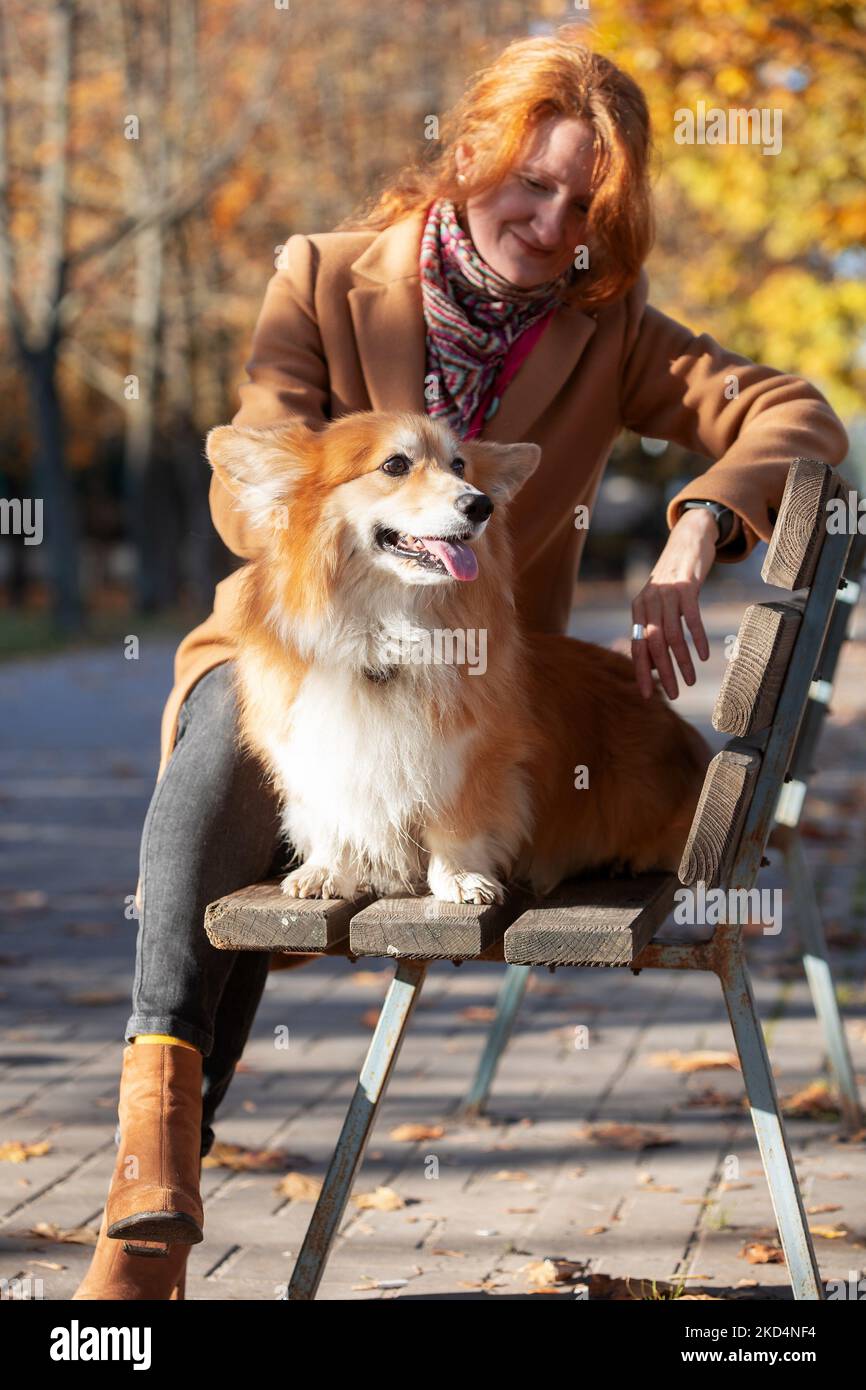 Chica y corgi perro a caminar en el parque Foto de stock