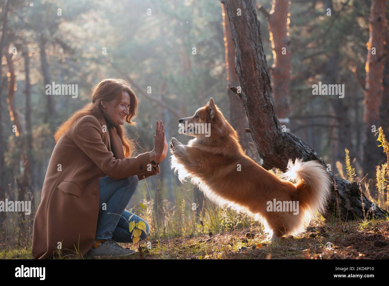 Chica y corgi perro a caminar en el parque Foto de stock