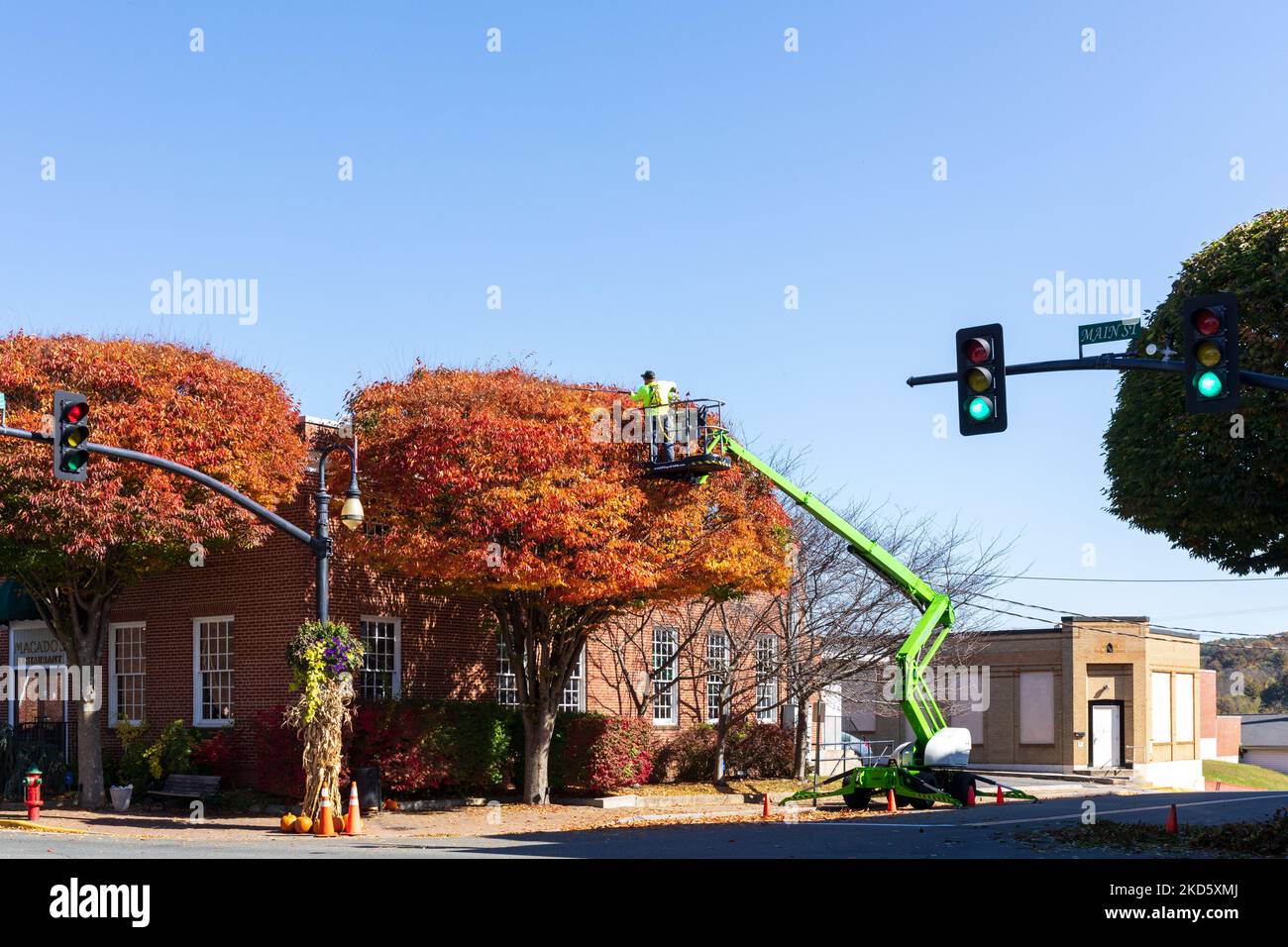 GALAX, VIRGINIA, EE.UU.-15 DE OCTUBRE de 2022: Trabajador que está podando un árbol del elevador hidráulico. Colorido día de otoño. Foto de stock