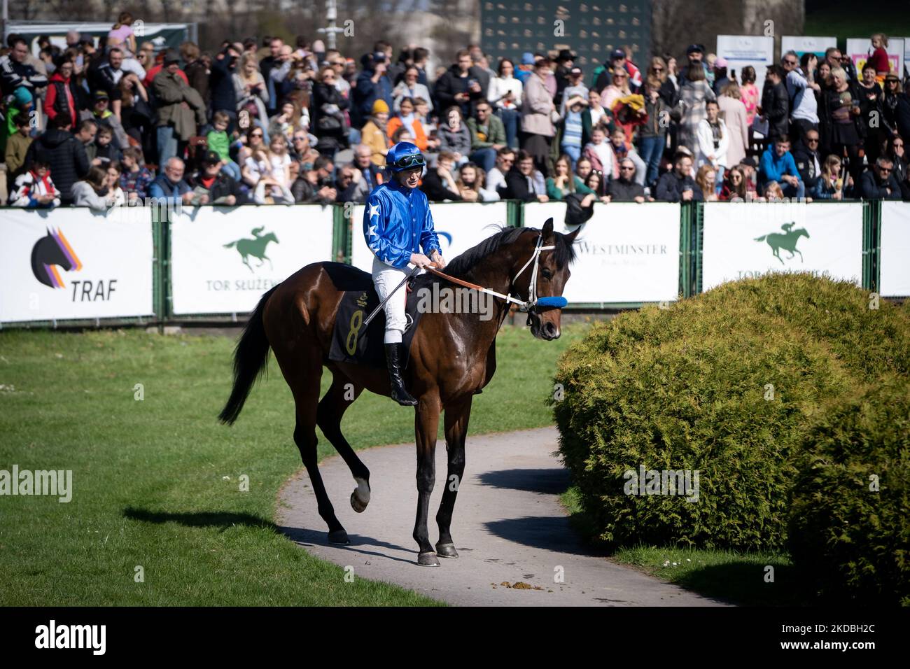 Pista de carreras de caballos de Sluzewiec en Varsovia, Polonia el 24 de abril de 2022 (Foto de Mateusz Wlodarczyk/NurPhoto) Foto de stock