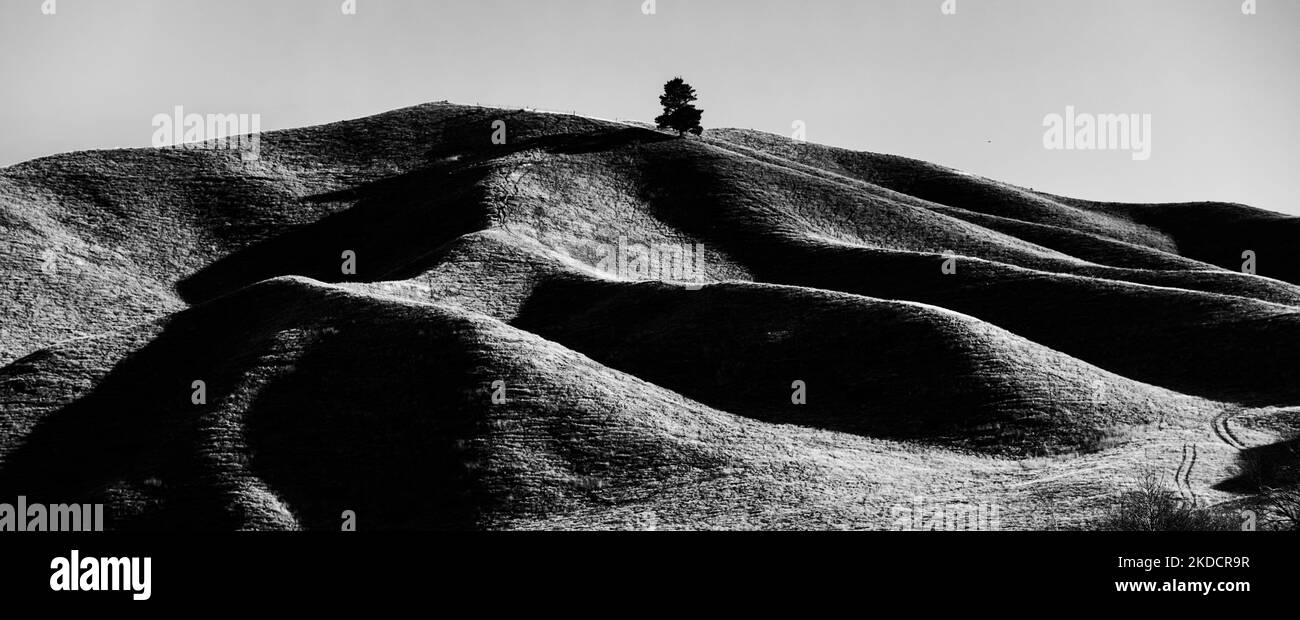 Una imagen en escala de grises de colinas en Otago, Nueva Zelanda Foto de stock