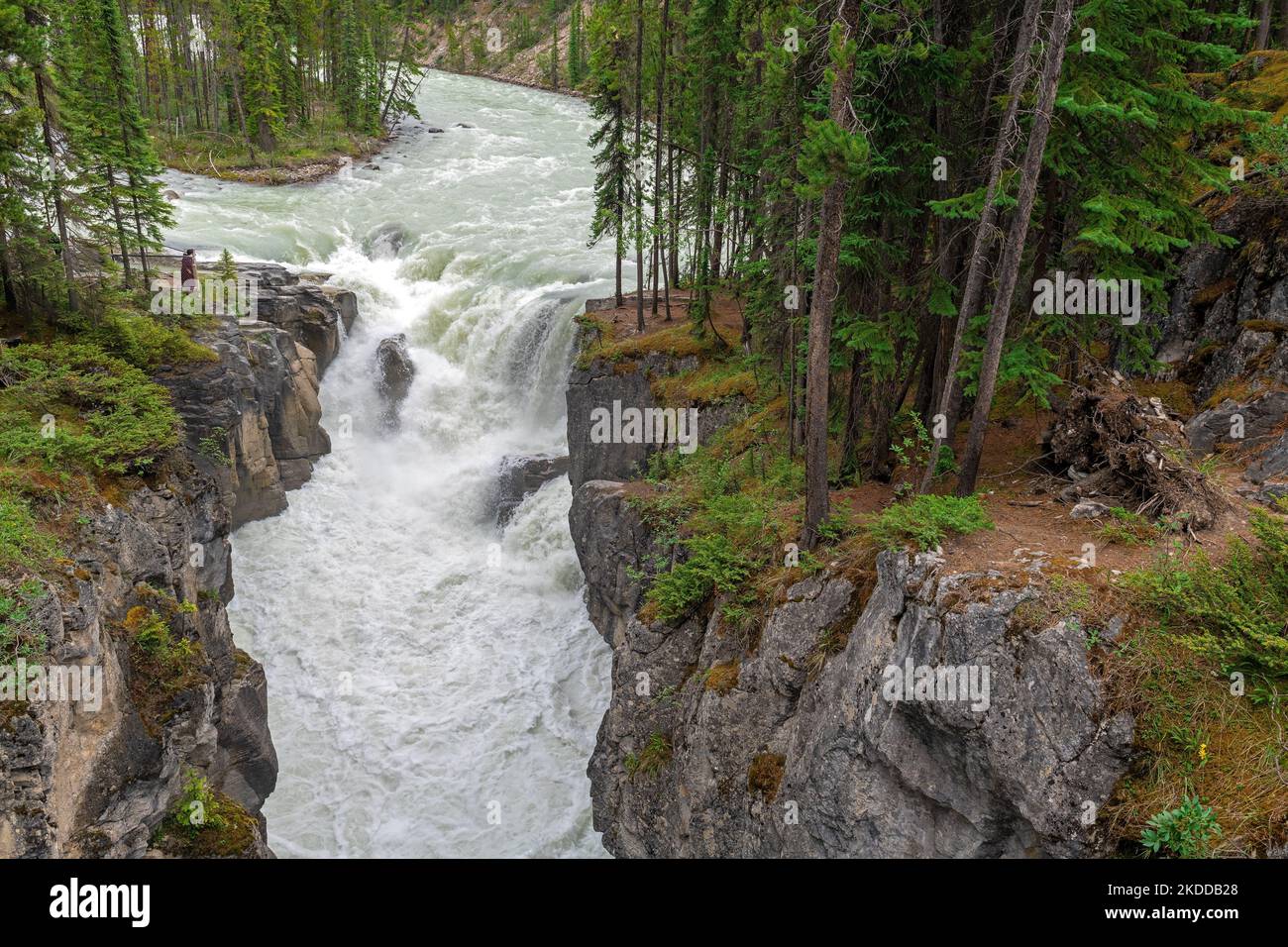 Río Maligne por el cañón Maligne, parque nacional Jasper, Canadá. Foto de stock