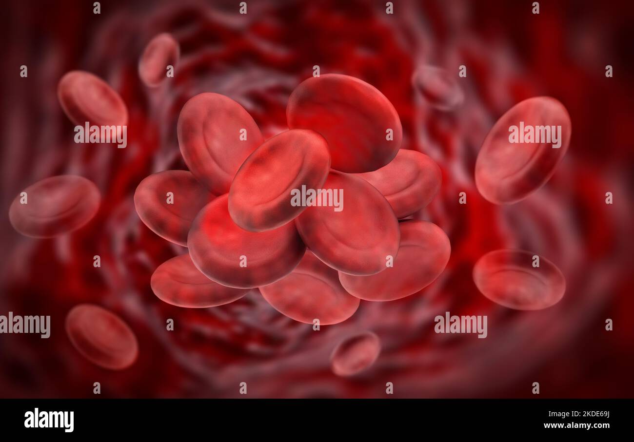 Células sanguíneas dentro de la vena. Ilustración 3D. Foto de stock