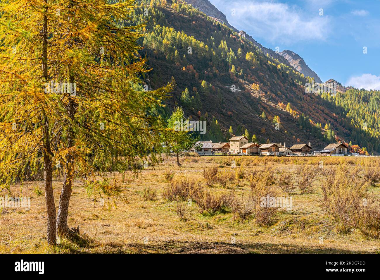 Aldea tradicional Isola en el lago Sils en otoño, Engadine, Grisons, Suiza Foto de stock