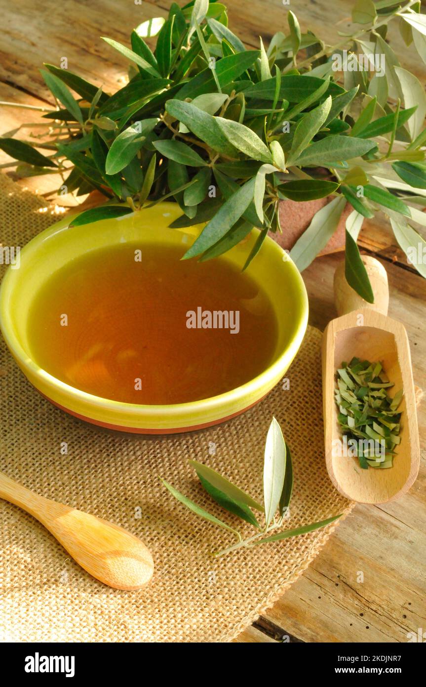 Propiedades medicinales de las plantas fotografías e imágenes de alta