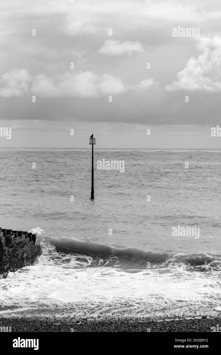 Estudio en blanco y negro de un marcador grooyne en la playa de Eastbourne Foto de stock