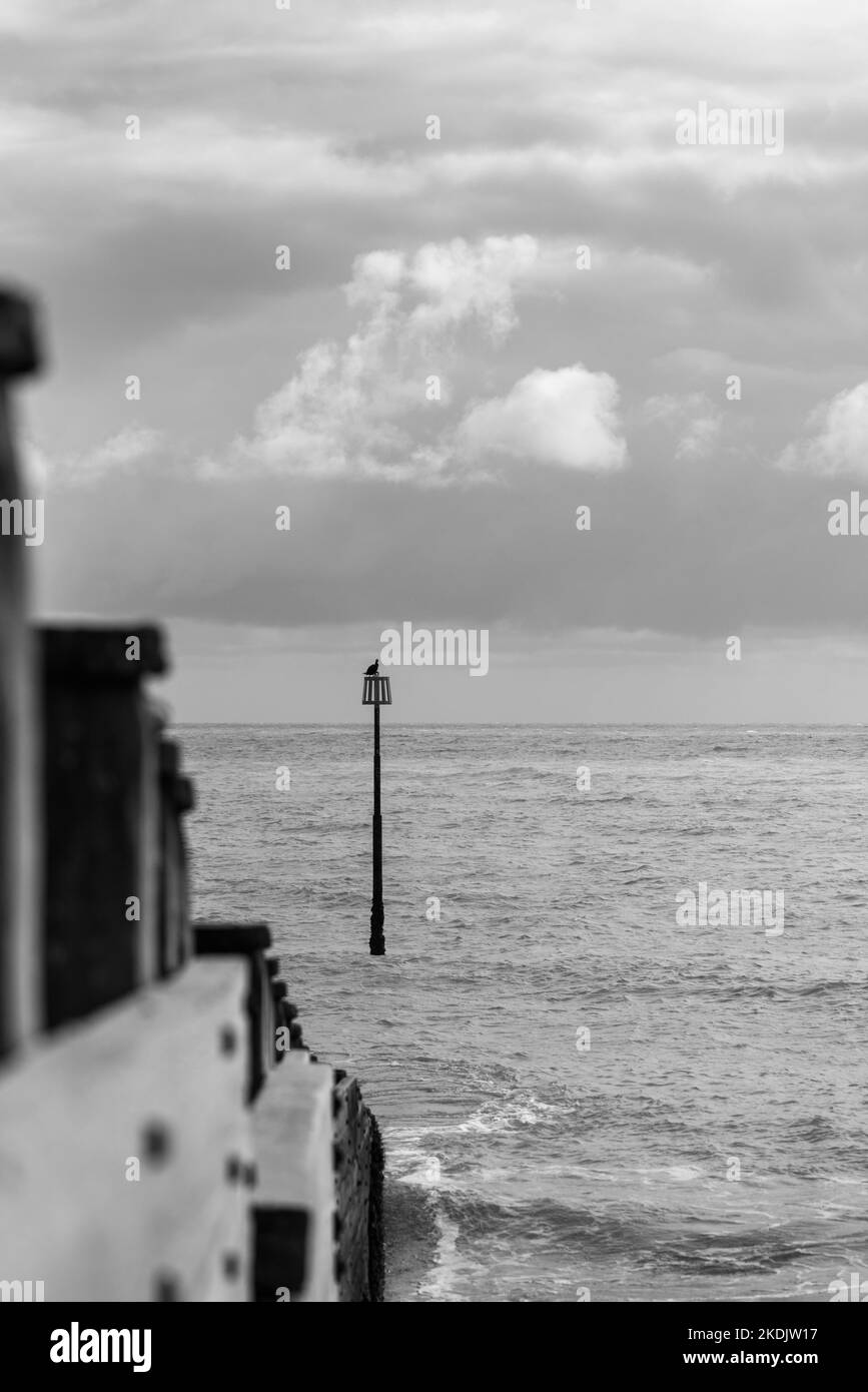 Estudio en blanco y negro de un marcador grooyne en la playa de Eastbourne Foto de stock