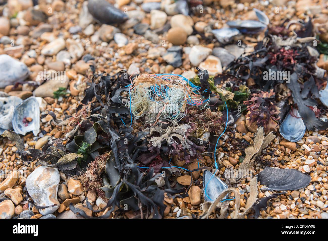 Playa Eastbourne strandline Foto de stock