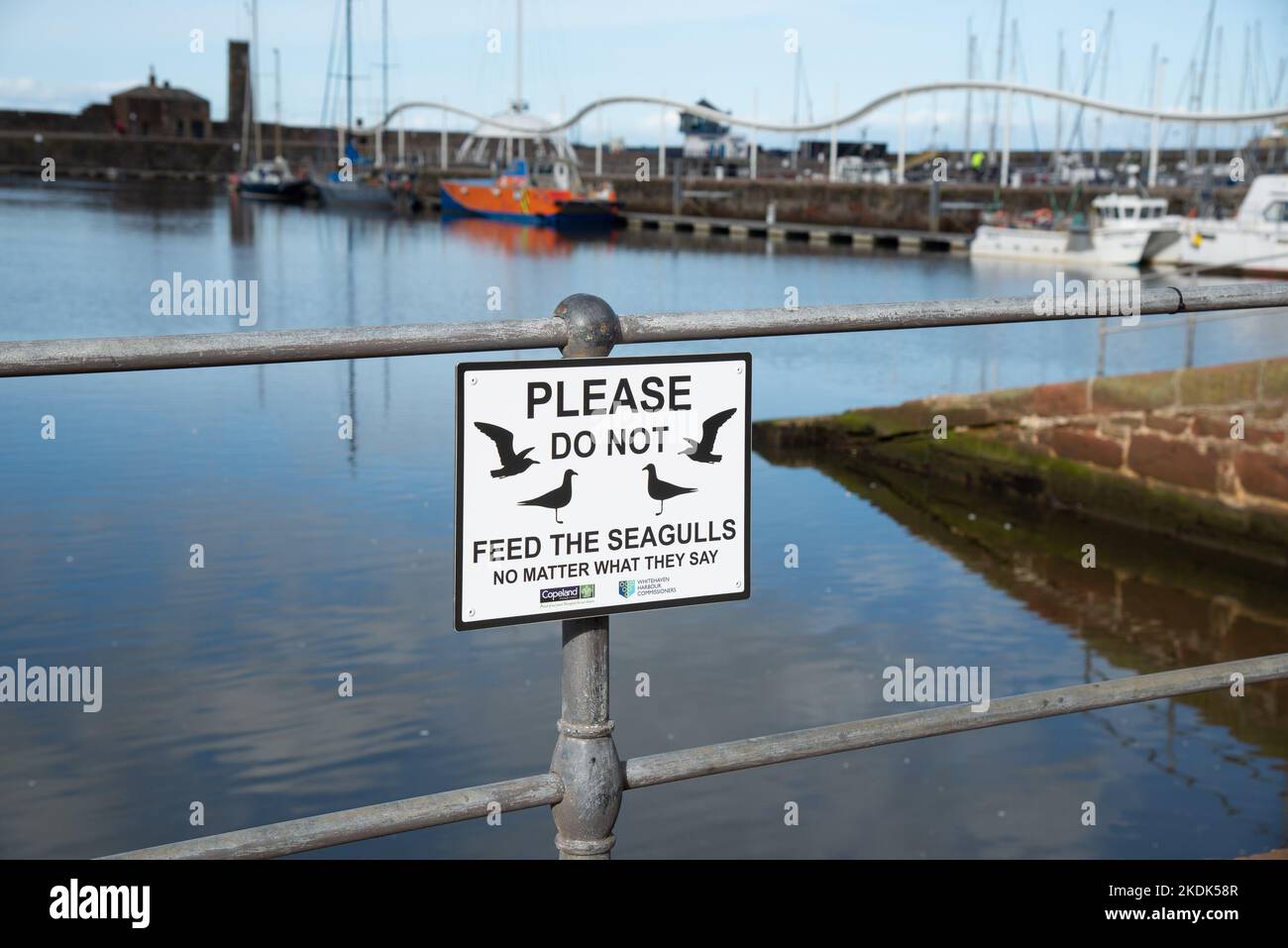 Por favor no alimente el cartel de las gaviotas, Whitehaven, Cumbria, Reino Unido Foto de stock