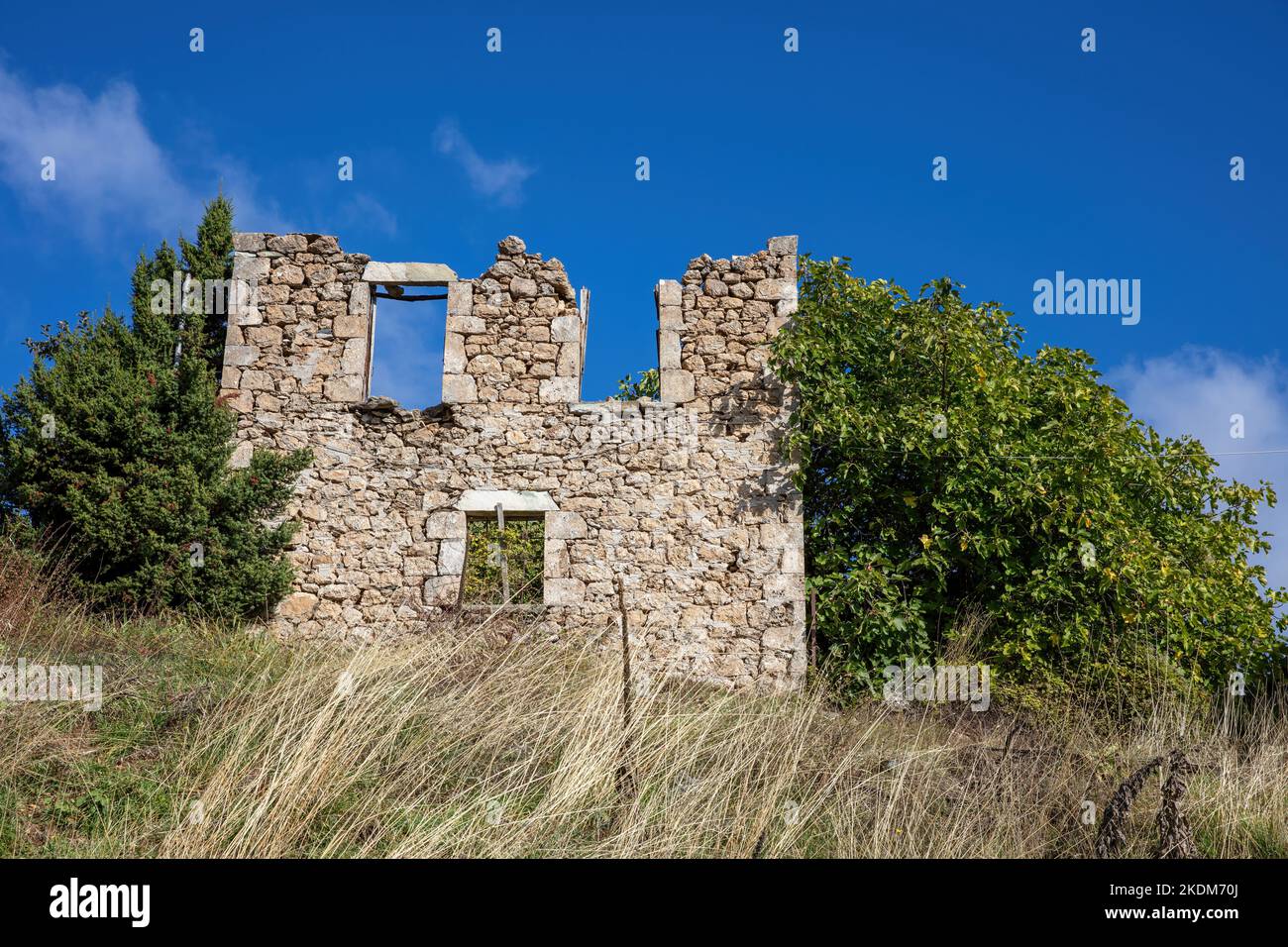 Fachada en ruinas de un edificio abandonado, casa de piedra dañada en el medio rural, planta seca, árboles, soleado cielo azul Peloponeso Grecia. Foto de stock