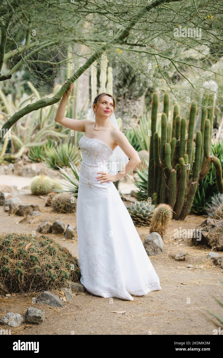 Novia sosteniendo una rama de árbol en un jardín de cactus Foto de stock