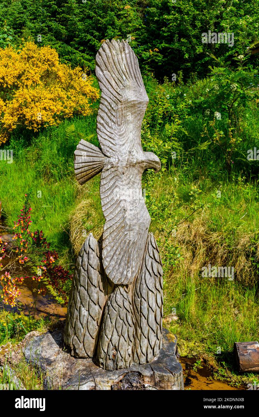 Una escultura en madera de un águila, en Dunnet Community Forest, cerca de Castletown, Caithness, Escocia, Reino Unido Artista desconocido. Foto de stock
