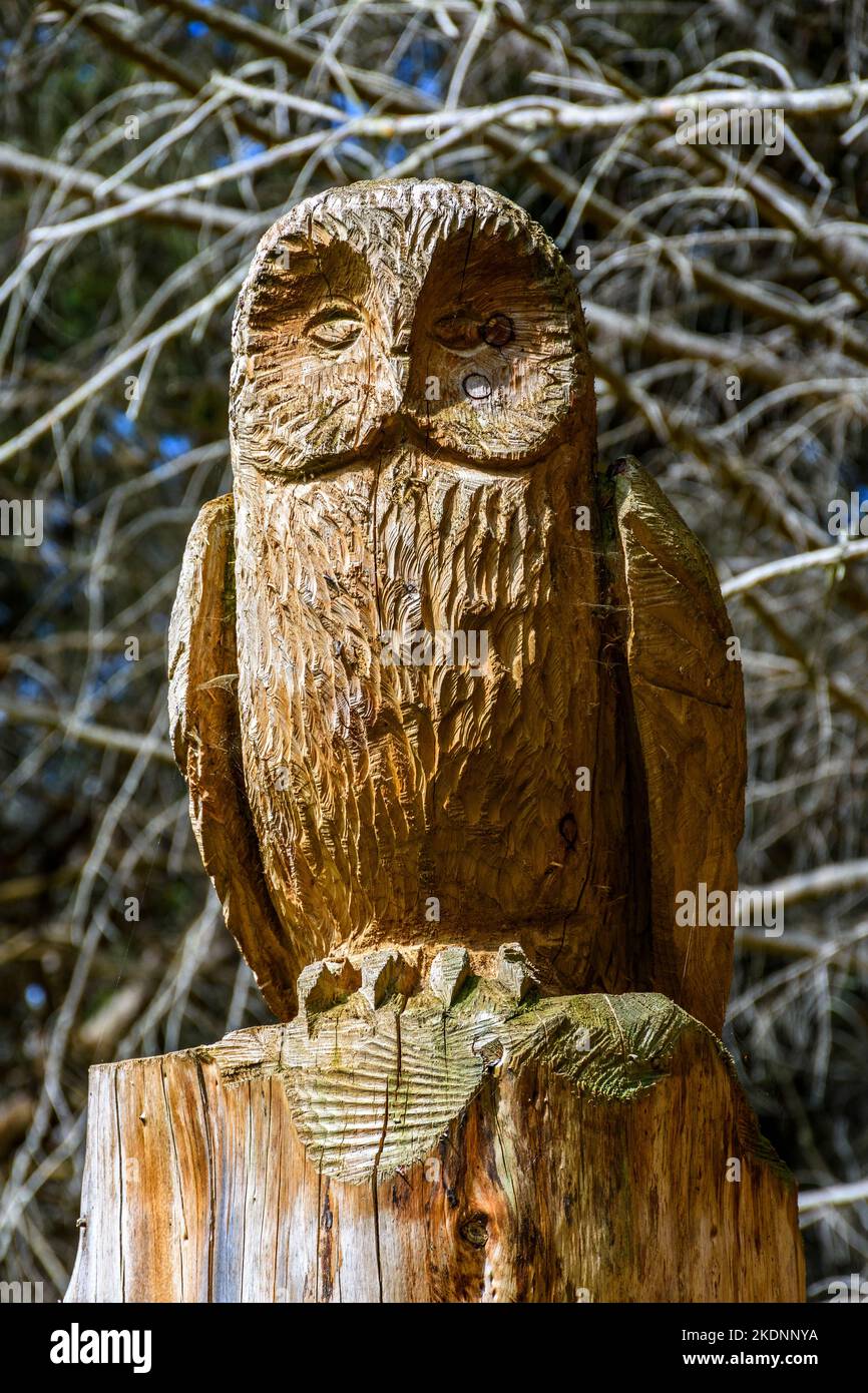 Talla en madera de un búho, en Dunnet Community Forest, cerca de Castletown, Caithness, Escocia, Reino Unido Artista desconocido. Foto de stock