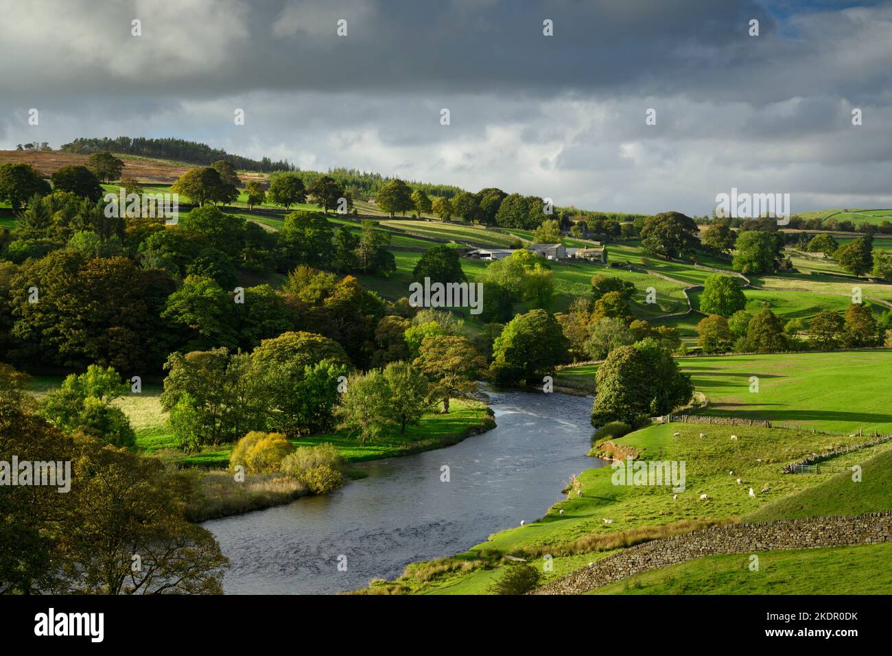 Paisaje pintoresco del valle rural (agua del río Wharfe, edificios de granja, árboles junto al río, pared de piedra, sol de la noche de otoño) - Yorkshire Dales, Inglaterra, Reino Unido. Foto de stock