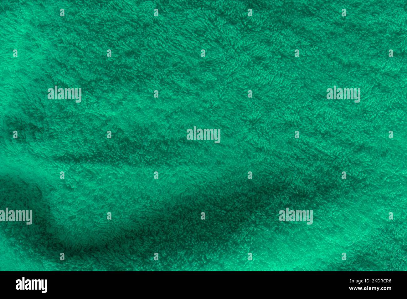Piel verde lana textura aguamarina fondo patrón pelo suave esponjoso abstracto animal. Foto de stock