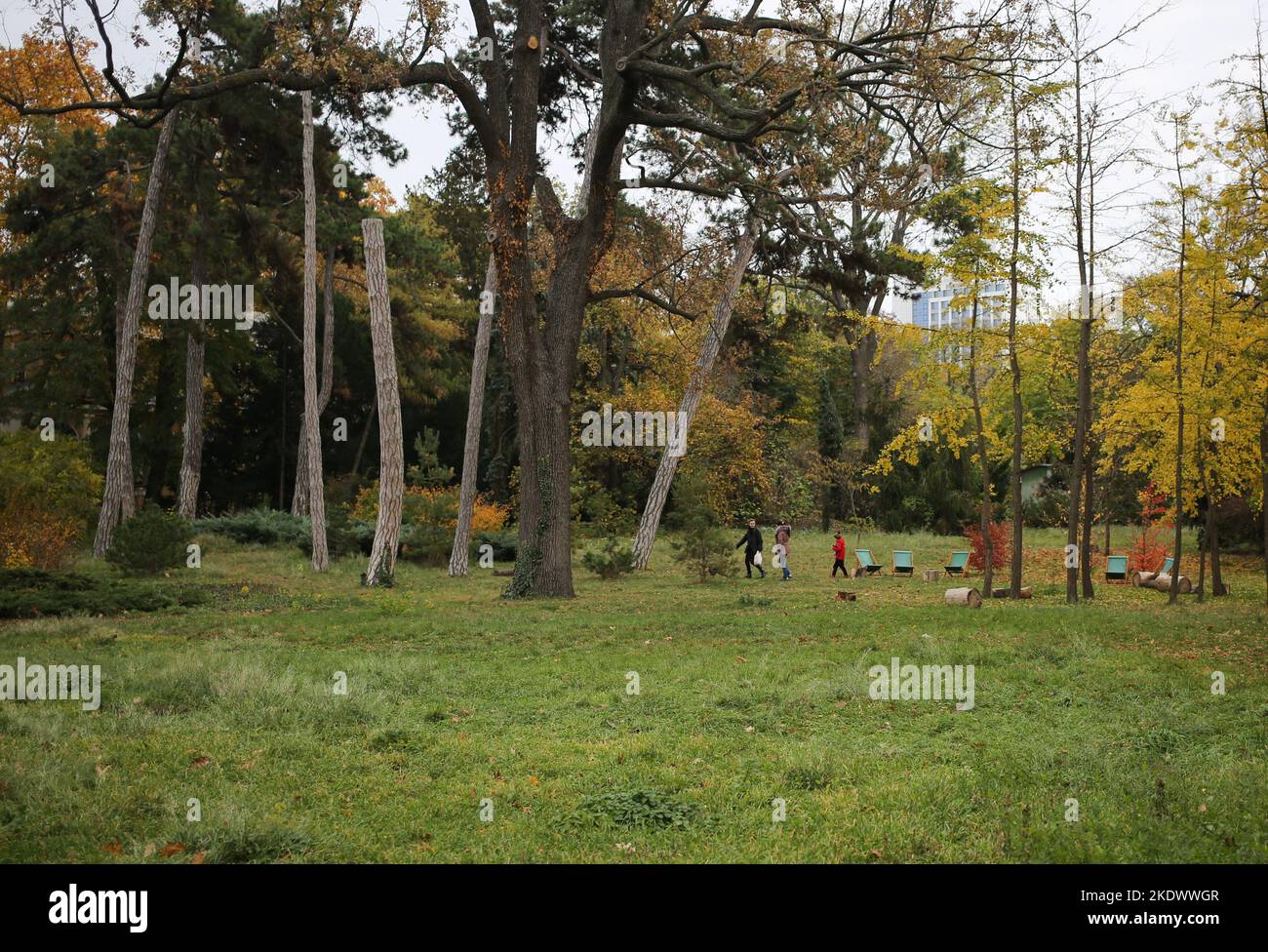 Se ve a los visitantes caminando por el Jardín Botánico en French Boulevard. Jardín Botánico de la Universidad Nacional de Odessa nombrado en honor a Ilya Mechnikov. Más de 3.000 tipos de espacios verdes se presentan en el territorio del jardín con una superficie de alrededor de 16 hectáreas. El jardín es una subdivisión educativa de la Facultad de Biología de la Universidad, sobre su base diploma y los documentos de plazo se llevan a cabo anualmente, el personal científico del jardín participan en el proceso educativo. En 1963, el Jardín Botánico recibió el estatus de parque-monumento de arte paisajístico Foto de stock