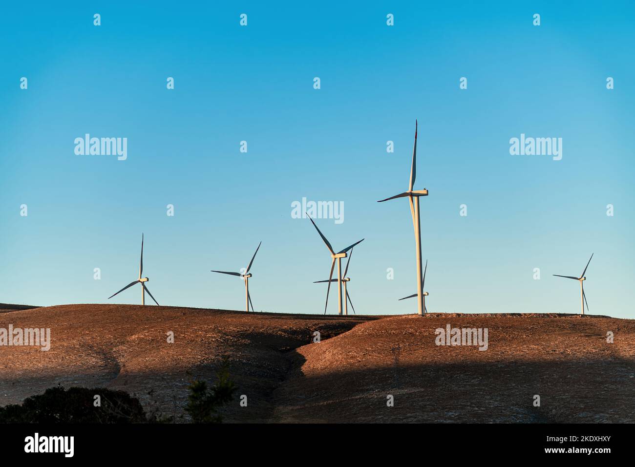 Varios aerogeneradores parados en una colina al amanecer y generando electricidad Foto de stock