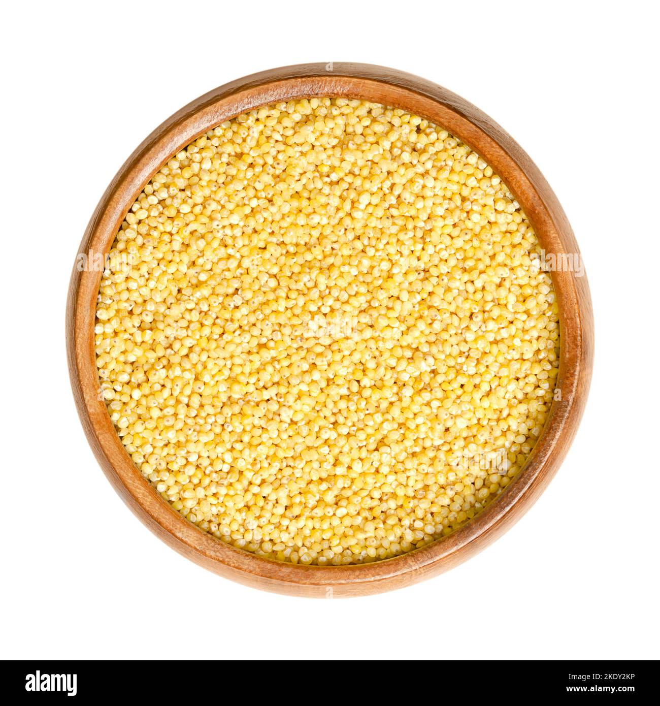El mijo amarillo descascarado, en un tazón de fuente de madera. Cereales anuales de grano pequeño, pertenecientes a la tribu Paniceae. El grano libre de gluten, el grano más nutritivo. Foto de stock