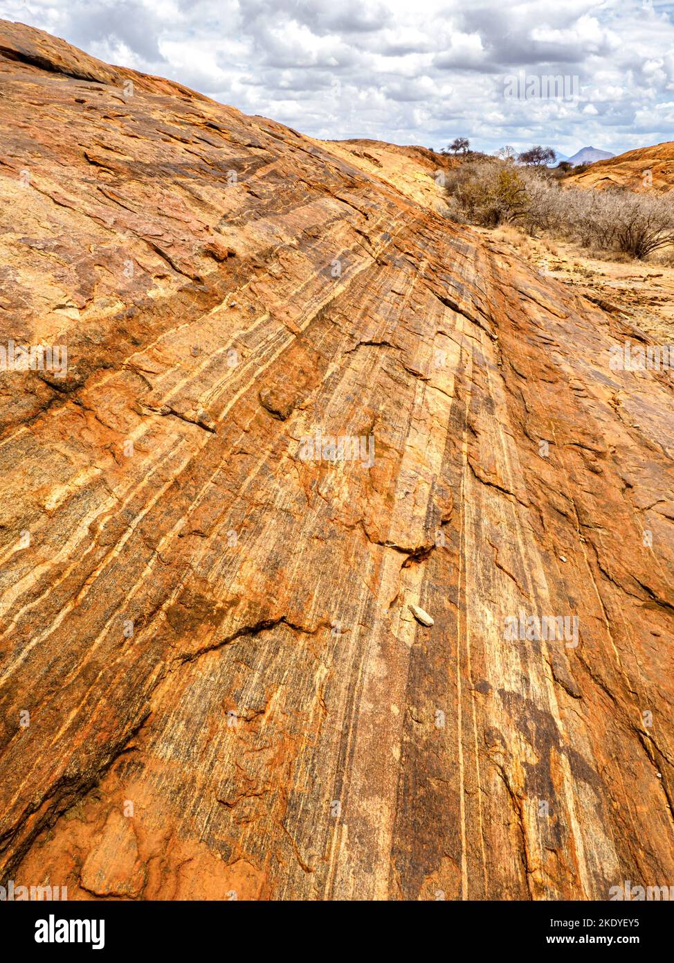 Mudanda Rock en el Parque Nacional Tsavo Este es un inselberg precámbrico de 1,5 km de largo de rocas metamórficas cristalinas que se elevan desde la llanura de Ndara en Kenia Foto de stock